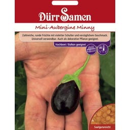 Dürr Samen Mini-Aubergine 