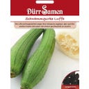 Dürr Samen Luffa - 10 semillas