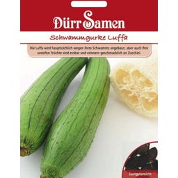 Dürr Samen Schwammgurke 