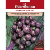 Rosenkohlsamen "Red Ball"