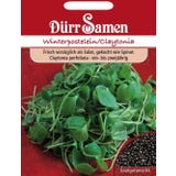 D&uuml;rr Samen Purslane, &lsquo;Winter Purslane&rsquo; seeds