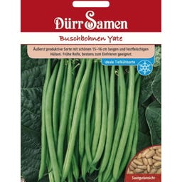 Dürr Samen Buschbohne 