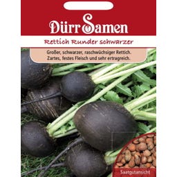 Rettichsamen 
