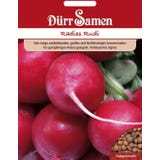 D&uuml;rr Samen R&auml;disfr&ouml;n "Rudi"