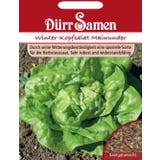 D&uuml;rr Samen Lettuce seeds &lsquo;Winter Lettuce Maiwunder&rsquo;