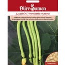 Dürr Samen Calabacín - Trombetta Moana - 8 semillas