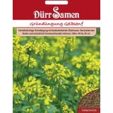 D&uuml;rr Samen Green Manure "Yellow Mustard"