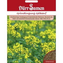 Dürr Samen Gründüngung 