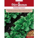 Dürr Samen Valeriana - Accent - 5.000 semillas