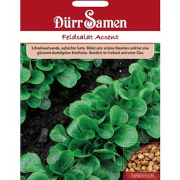 Feldsalatsamen 