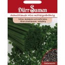Dürr Samen Cebollino - Nelly Medio de Tubo Grueso - 600 semillas