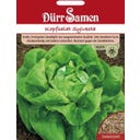 Dürr Samen Lechuga Repollo - Sylvesta - 150 semillas