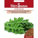 Dürr Samen Rukola 