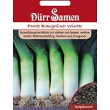 D&uuml;rr Samen Leek Seeds &lsquo;Blaugr&uuml;ner Winter&rsquo;