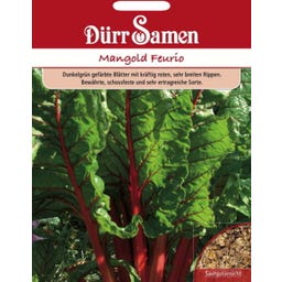 Mangoldsamen 