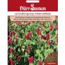 Dürr Samen Sovescio - Trifoglio Incarnato - 75 g