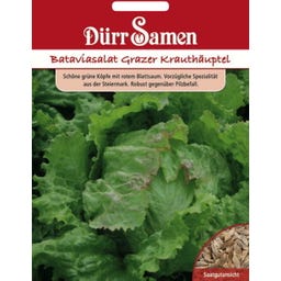 Kopfsalatsamen 