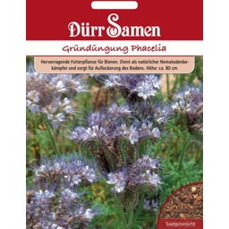 Dürr Samen Gründüngung 