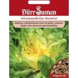 D&uuml;rr Samen Endive Seeds "Escariol"