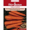 Dürr Samen Zanahoria - Rothild - 2.000 semillas