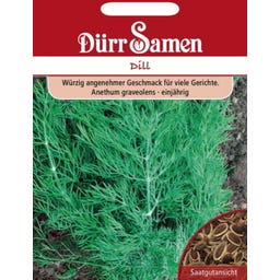 Dillsamen 