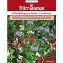 Dürr Samen Sovescio - Miscela Variopinta - 50 g