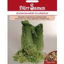 Zichoriensalatsamen 
