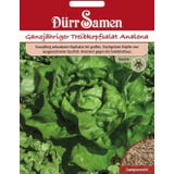 D&uuml;rr Samen Lettuce seeds &lsquo;Analena&rsquo;