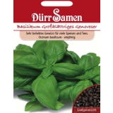 D&uuml;rr Samen Semena bazalky &bdquo;Genoveser&ldquo;