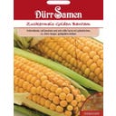 Dürr Samen Maíz dulce - Golden Bantam - 65 semillas