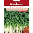 Dürr Samen Berro de Jardín - Envase de Ahorro - 20.000 semillas