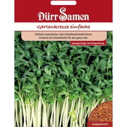 Gartenkressesamen Vorteilspackung - 20.000 Korn