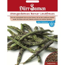 Dürr Samen Stangenbohne 