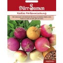 Dürr Samen Rábano - Mezcla de Colores - 500 semillas