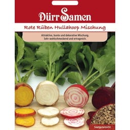 Rote Rüben Samen 