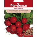 Dürr Samen Rábano - Parat - 600 semillas