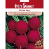 D&uuml;rr Samen Radish Seeds &lsquo;Raxe&rsquo;