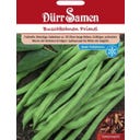 Dürr Samen Grmičast fižol 