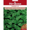 Dürr Samen Valeriana - Vit - 4.000 semillas
