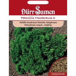 Petersiliesamen gefüllte mooskrause - 2.000 Korn
