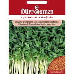 Gartenkressesamen - 5.000 Korn