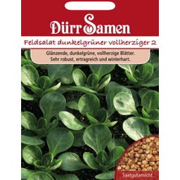 Feldsalatsamen dunkelgrüner vollherziger - 4.000 Korn