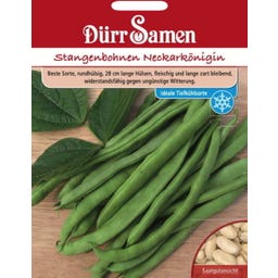 Dürr Samen Stangenbohne 