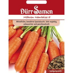 Möhrensamen 