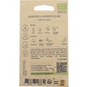 Kokopelli Bio Oregano