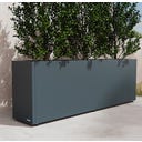 Herstera Pflanzkübel Cube - anthrazit - 150 x 30 x 50 cm