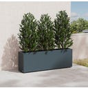 Herstera Pflanzkübel Cube - anthrazit - 150 x 30 x 50 cm