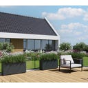 Herstera Pflanzkübel Cube - anthrazit - 100 x 30 x 50 cm