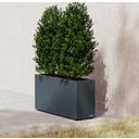 Herstera Pflanzkübel Cube - anthrazit - 100 x 30 x 50 cm