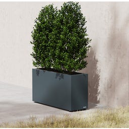 Herstera Pflanzkübel Cube - anthrazit - 100 x 30 x 50 cm